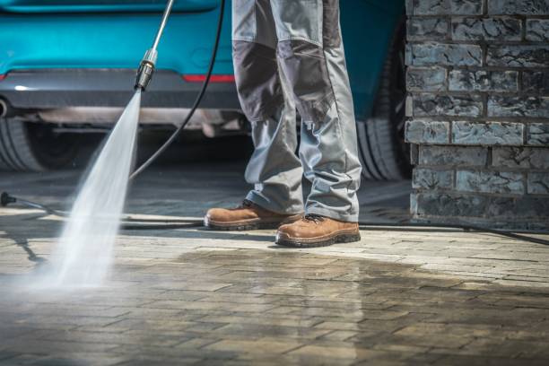 Best Spring Cleaning  in Avoca, PA