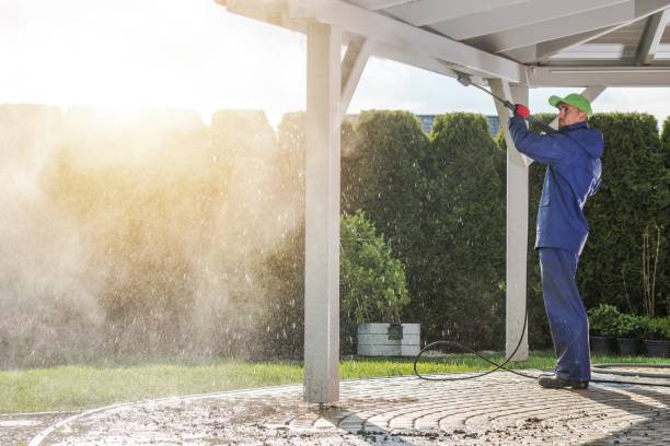 Best Building Exterior Washing  in Avoca, PA